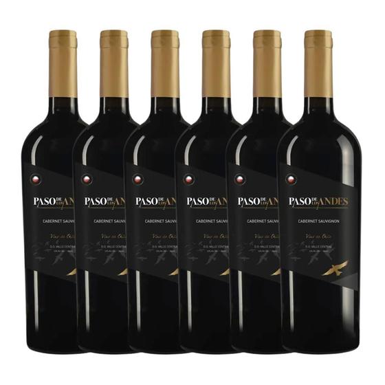 Imagem de Kit 6x Vinhos Tintos Chilenos Paso de Los Andes Cabernet Sauvignon