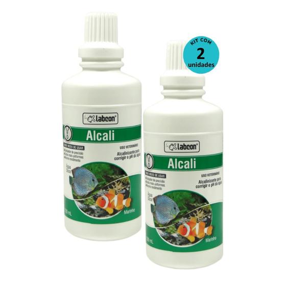 Imagem de Kit Alcon Labcon Alcalizante Alcali 100ml - com 2 unidades