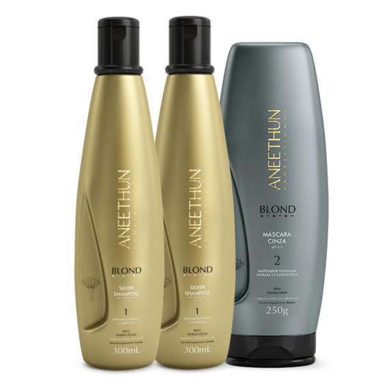 Imagem de Kit Aneethun Blond System 2 SH Silver + Mask cinza 250g