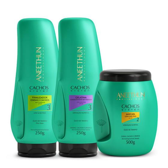 Kit Aneethun Cachos System Máscara + Gelatina + Finalizador Máscara
