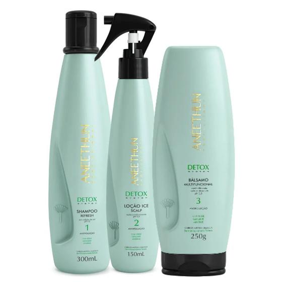 Imagem de Kit Aneethun Detox System Shampoo, Balsamo e Loção