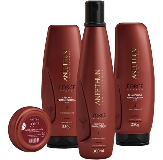 Kit Aneethun Force System Shampoo 300ml + Mascara 250g + Finalizador