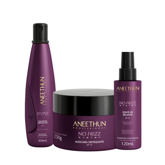 Imagem de Kit Aneethun No Frizz System Shampoo + máscara + leave in selante