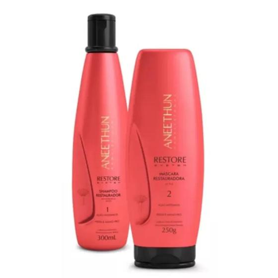 Imagem de Kit Aneethun Restore - Shammpoo 300ml + Máscara 250g