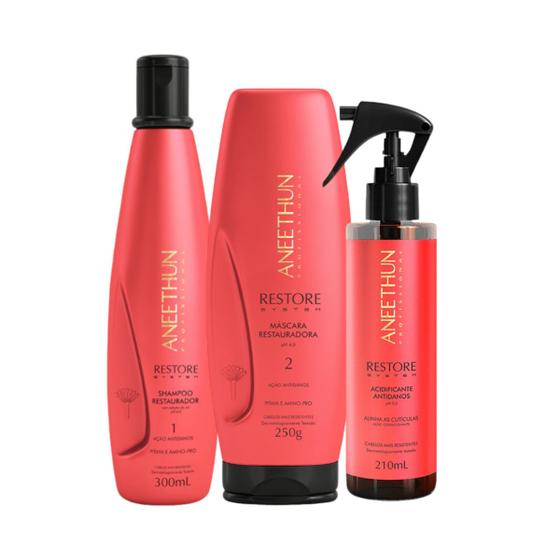 Imagem de Kit Aneethun Restore System Shampoo 300ml+Máscara 250g+Acidificante