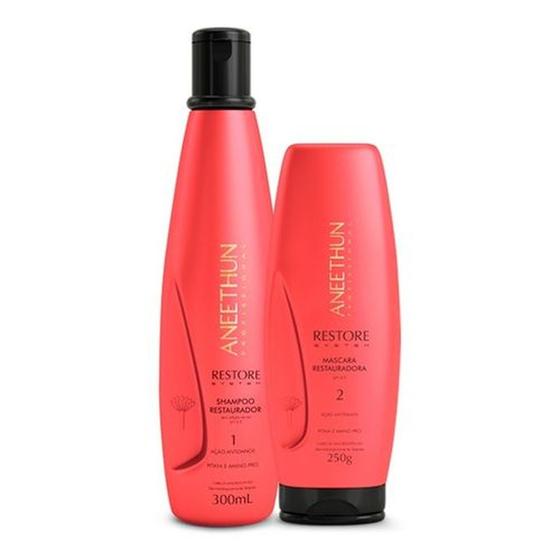 Imagem de Kit Aneethun Restore System - Shampoo 300ml + Máscara 250g