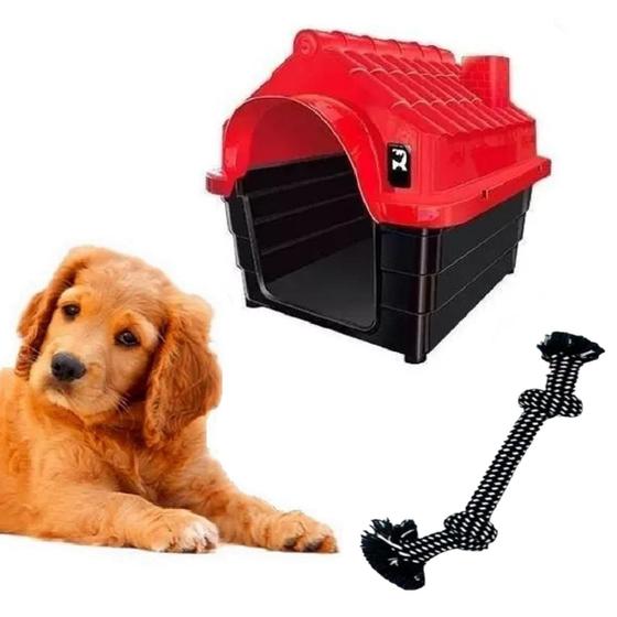 Imagem de Kit Brinquedo Cabo de Guerra P/ Cachorro + Casa Pet Médio N3