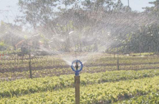 Imagem de Kit C/15 Aspersor P5 Irrigação Com Rosca De 1/2 - Agrojet