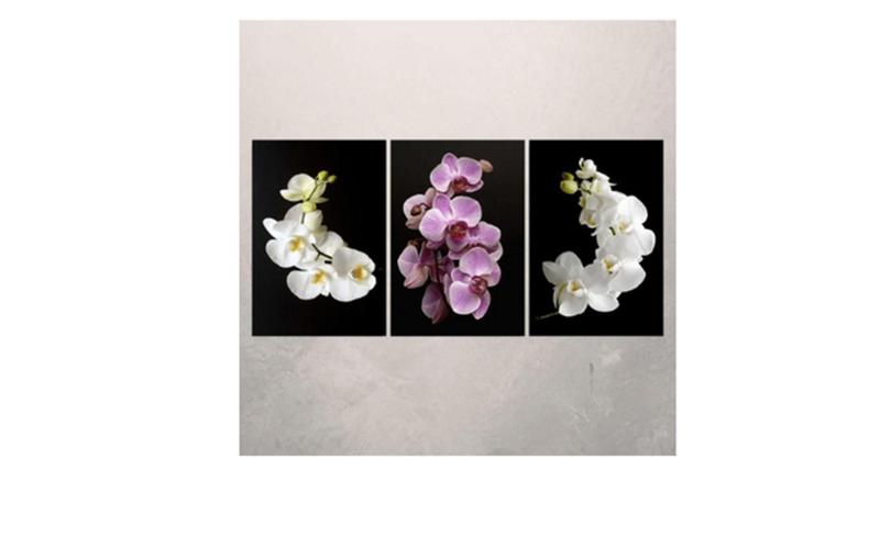Imagem de Kit C/ 3 Peças Quadros Decorativos orquidea"