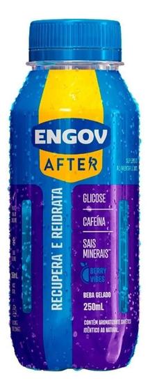 Imagem de Kit c/ 4 Bebida Funcional Berry Vibes After Engov 250ml