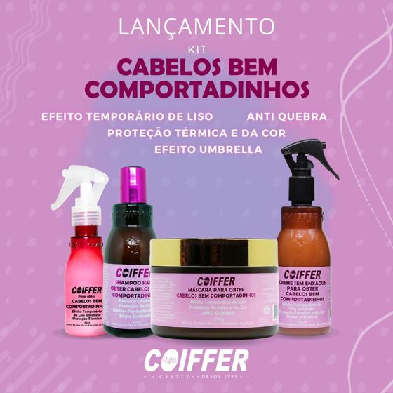 Imagem de kIT CABELOS BEM COMPORTADINHOS 4 UNIDADES coiffer