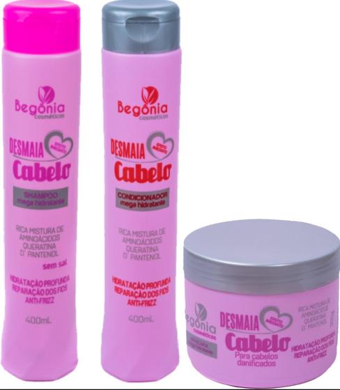 Imagem de Kit capilar Desmaia cabelo Begônia