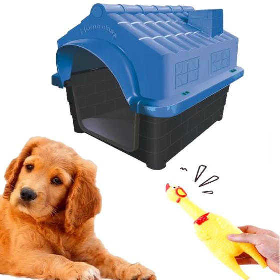 Imagem de Kit Casa Dog Cat N3 Azul E Mordedor Interativo Pet Galinha