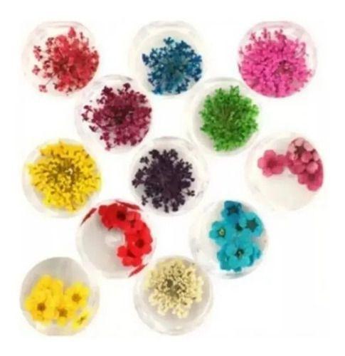 Imagem de Kit Com 03 Caixas 12 Flores Secas Para Unha Salão Manicure