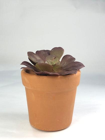 Imagem de Kit com 10 Vaso Cerâmica Sem Pé Mini 6,5x6,5 cm