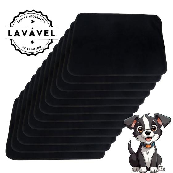 Imagem de Kit com 12 Banheiro para Cães Tecido Ecológico 70x50 Preto - 200 Lavagens - Inteligente