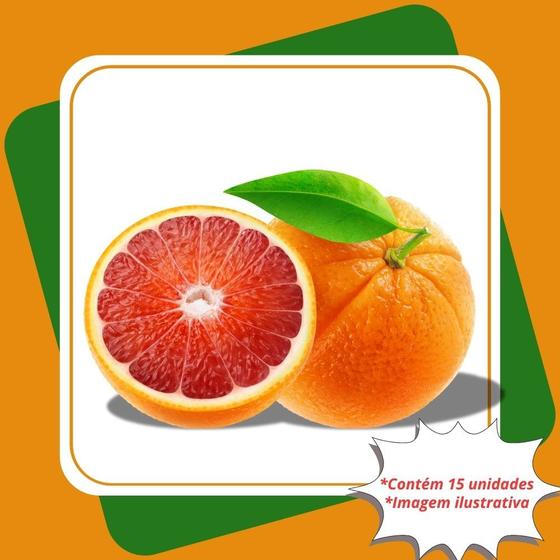 Imagem de Kit com 15 Mudas de Laranja Sangúinea  Citrus Sinensis L. Osbeck   Para Sul e Sudeste
