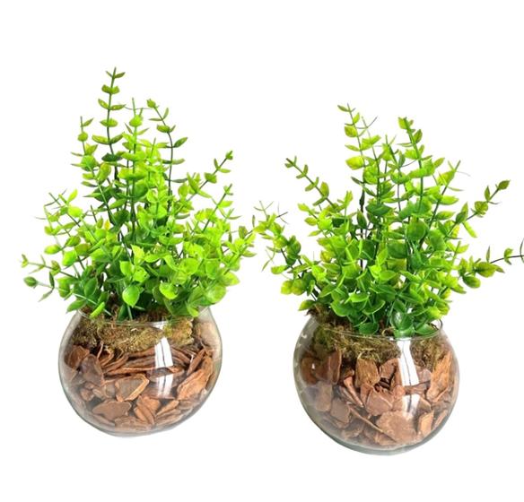 Imagem de kit com 2 Arranjos com plantinhas em vaso redondo para decoração de ambientes