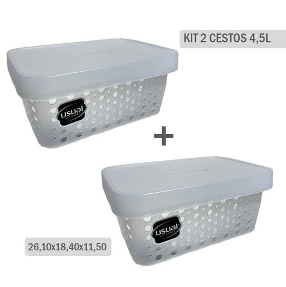 Imagem de Kit com 2 Caixas Organizadoras com Tampa 4,5L