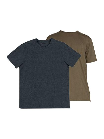 Imagem de Kit com 2 Camisetas Masculina Hering 201 Colorido