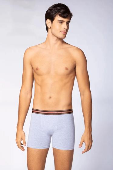 Imagem de Kit com 2 Cuecas Boxer Box Lupo Masculina Em Algodão Cotton Original