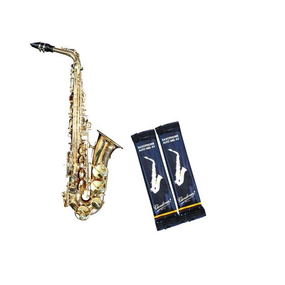 Imagem de KIT COM 2 UNID. PALHETA VANDOREN TRADICIONAL SAX ALTO  Dureza:2.5