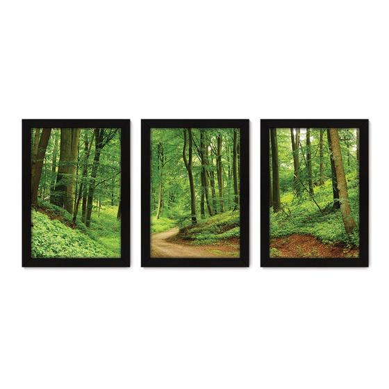 Imagem de Kit Com 3 Quadros - Floresta Árvores Paisagem - 060kq02p