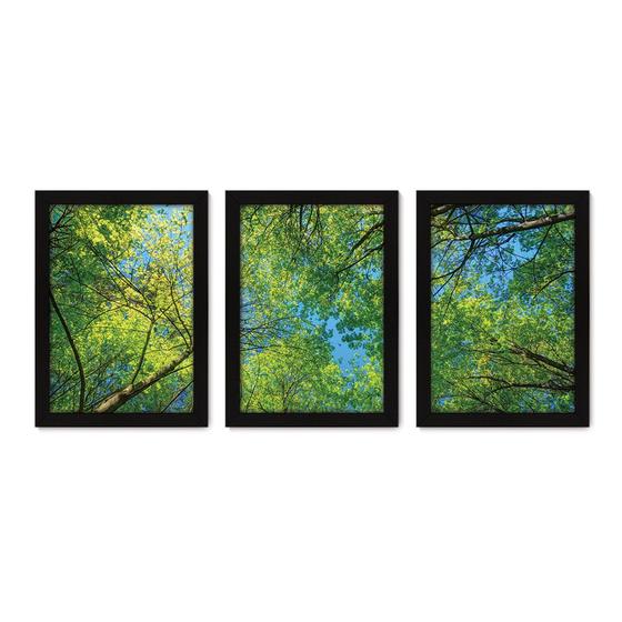 Imagem de Kit Com 3 Quadros - Floresta Árvores Paisagem - 194kq02p