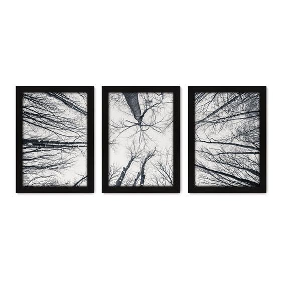Imagem de Kit Com 3 Quadros - Troncos Árvores Paisagem - 092kq02p