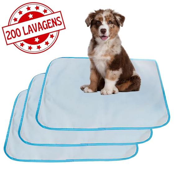 Imagem de Kit com 3 Tapetes Adestradores de Alta Absorção 70x50 Branco com borda Azul - 200 Lavagens