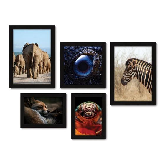 Imagem de Kit Com 5 Quadros Decorativos - Animais Elefante Zebra Inseto - 071kq01p