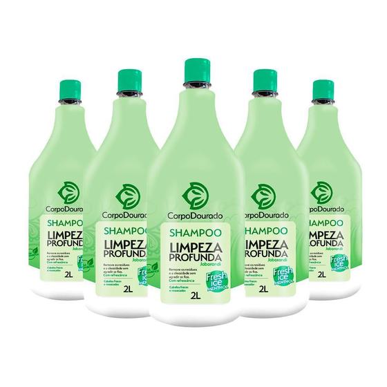 Kit Com 5 Shampoo Limpeza Profunda Corpo Dourado Jaborandi2L - Shampoo ...