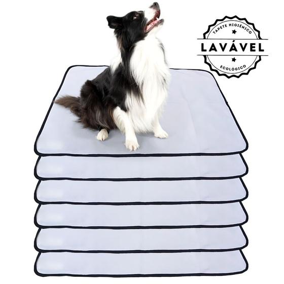 Imagem de Kit com 6 Tapetes Higiênicos 100x70 Branco com borda Preta Laváveis para cães - Alta Absorção