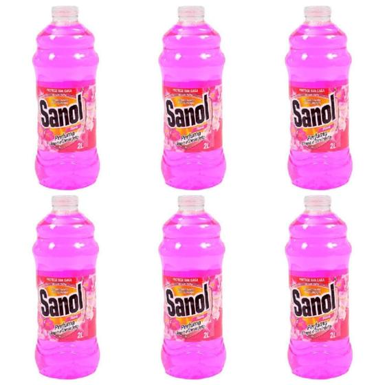 Imagem de Kit com 6 unidades de desinfetante Sanol floral 2 litros