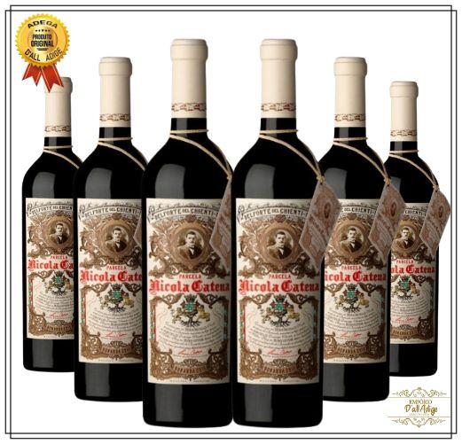 Imagem de Kit com 6 Vinhos Nicola Catna Zapata Bonarda