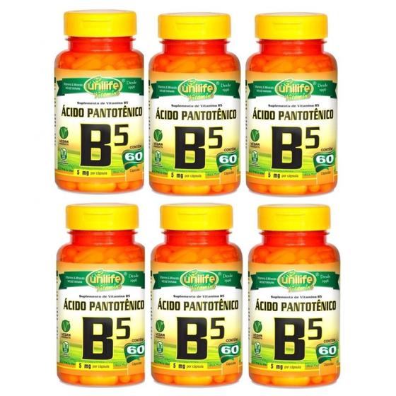 Kit com 6 Vitaminas B5 Acido Pantotenico 60 Capsulas de 500mg Unilife