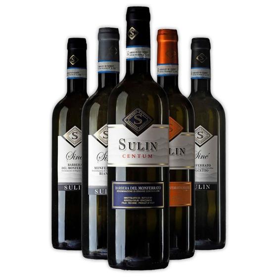 Imagem de Kit Completo 5 Vinhos Premium Siné e Classics vinícola Sulin Italiano
