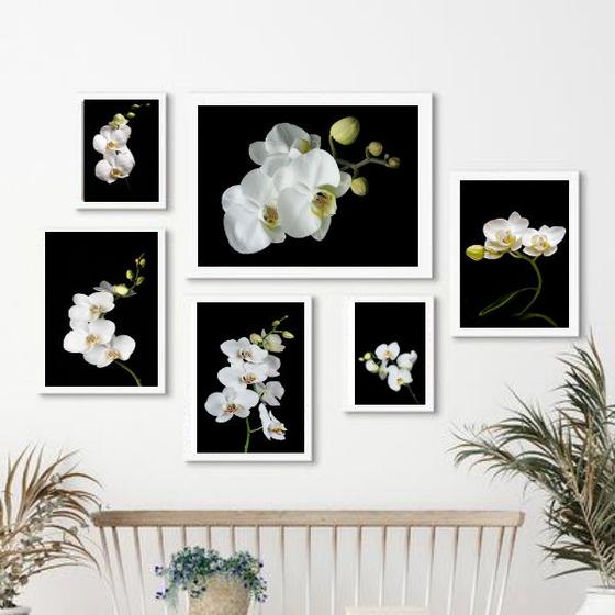 Imagem de Kit Composição 6 Quadros Florais FotografiasOrquídeas - com vidro