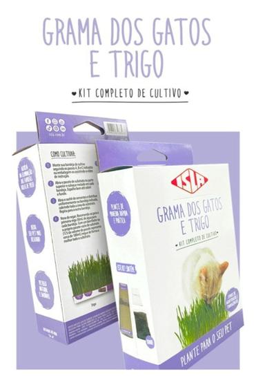 Imagem de Kit Cultivo - Grama de Gato e Trigo - Linha Pet