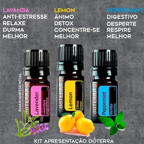 Kit de apresentação Menor preço em Kit de apresentação