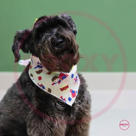 Imagem de Kit de Bandana Para Cachorro e Gato com cores e estampas variadas