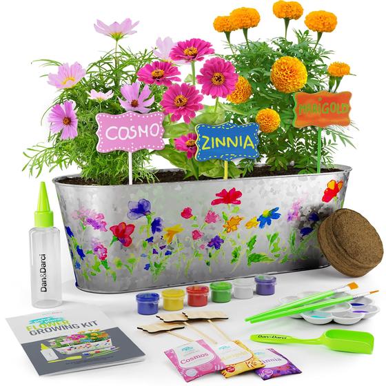 Imagem de Kit de cultivo de flores para pintar e plantar Dan & Darci para crianças de 5 a 12 anos