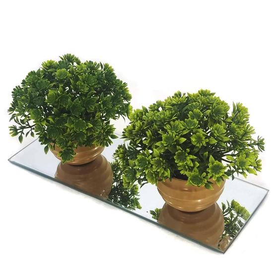 Imagem de Kit decoração plantas artificiais decorativas com base em espelho vaso vasinho falsa flor  conjunto plantartPrem2x