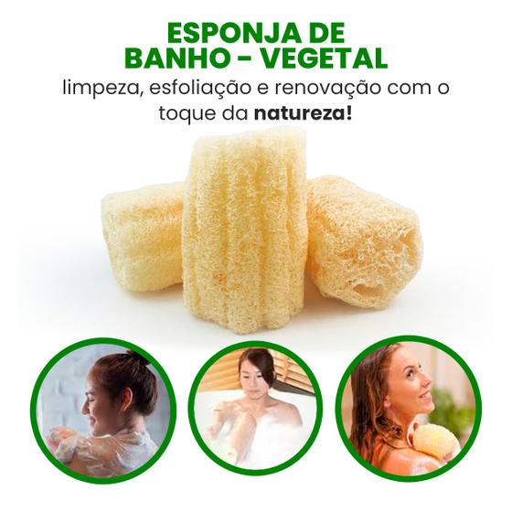 Imagem de Kit Esponja Bucha Vegetal Natural Limpeza P/ Banho Esfoliação C/3un