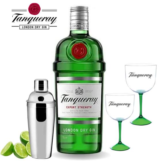 Kit Gin Tanqueray 750ml com 2 Taças ACRÍLICAS Coqueteleira Gin