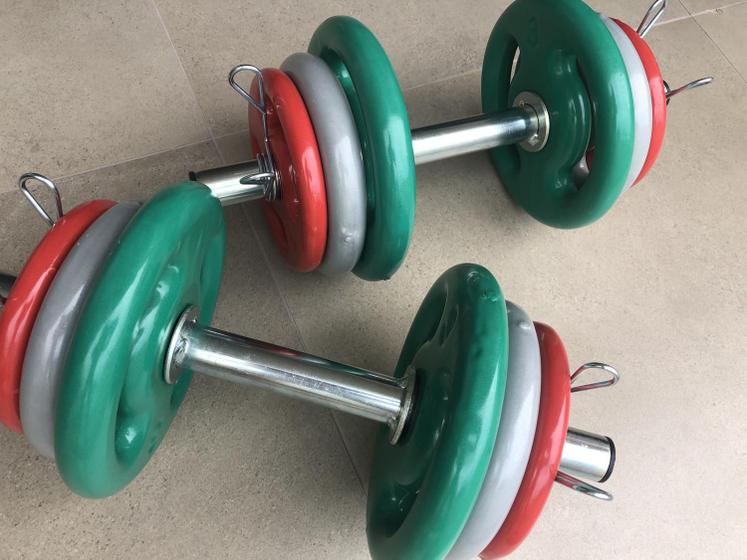 Kit halter 24kg anilhas emborrachadas de feero Menor preço em Kit halter 24kg anilhas emborrachadas de feero