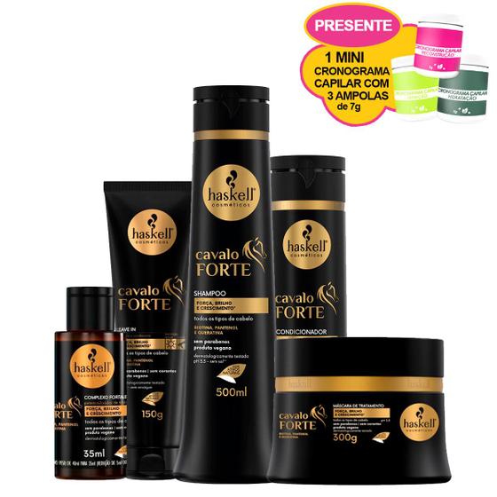 Imagem de Kit Haskell Shampoo 500ml Cond 300ml Máscara 250g  + Leave In + Complexo (Ganhe 1 Mini Cronograma)