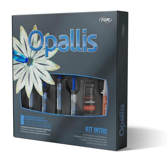 Imagem de Kit Intro Resina Opallis Básico II - FGM