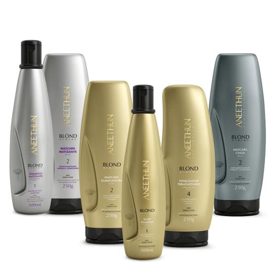 Imagem de Kit Linha Completa Blond System Aneethun Profissional