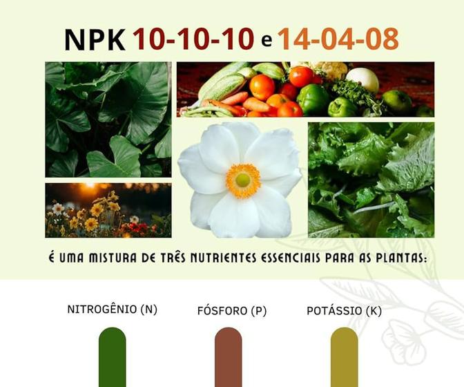 Imagem de Kit Npk Cultivo 10.10.10 + 04.14.08 Hortaliças Flores Rosas do Deserto Suculentas Jardins